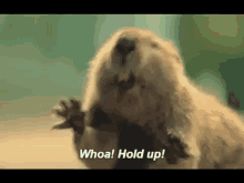 1735569250468.gif