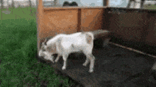 1735947581225.gif