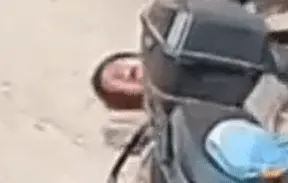 1737417253548.webp