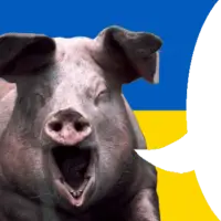 1740256496063.png