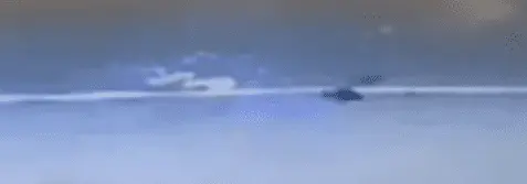 1740484892588.webp