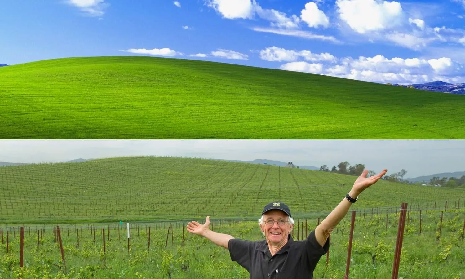 1741705828598.webp