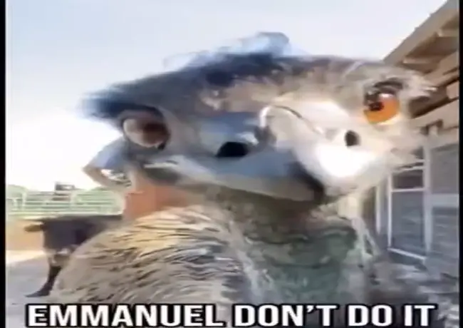 1742680221306.png