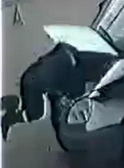 1747002800047.webp