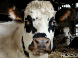 1749177041045.gif