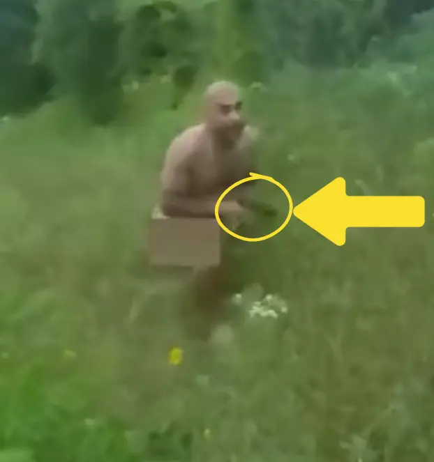 1750607750879.webp