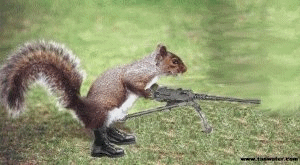 1751550359949.gif