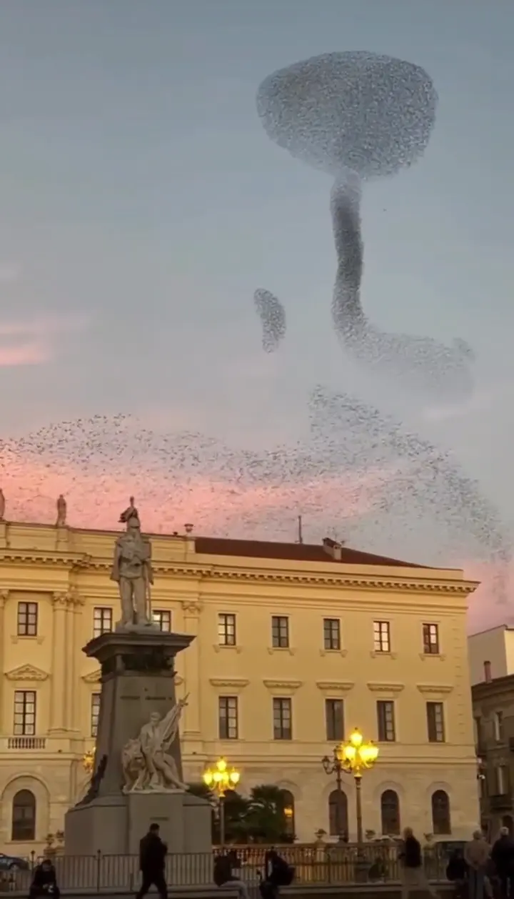 1755278211702.webp