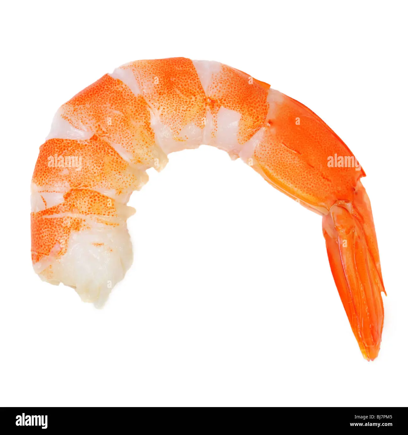 1755470966689.webp