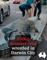 1757904764116.webp