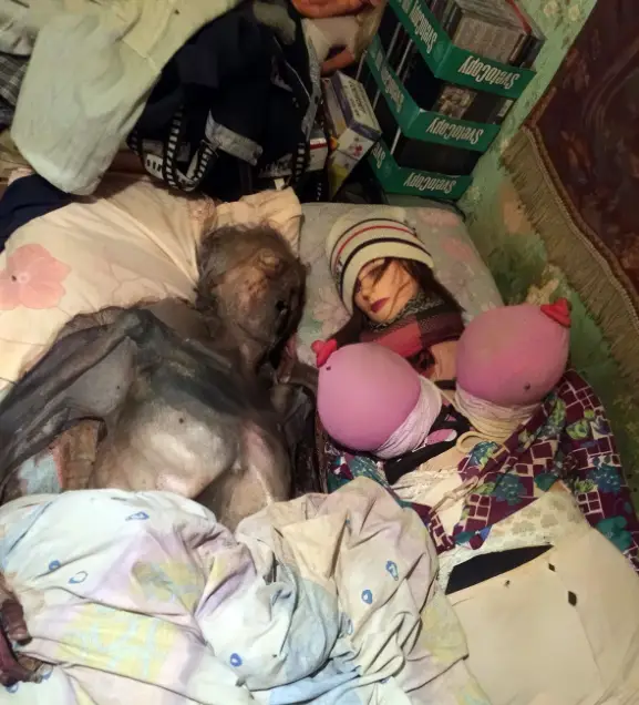 1758376980llZ2UFp4lX_Rcg.webp