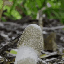 1758684246061.gif