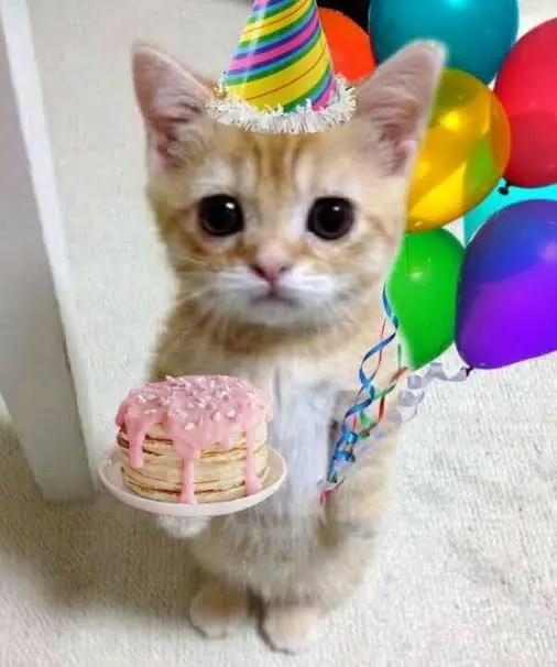 1763087486763.webp