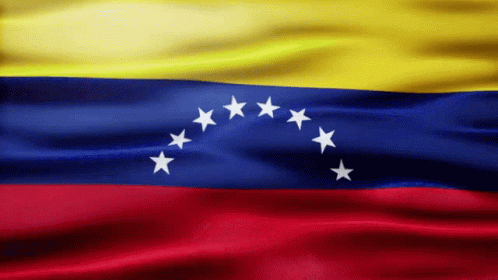 1763862203184.gif