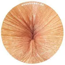 1764661133857.webp