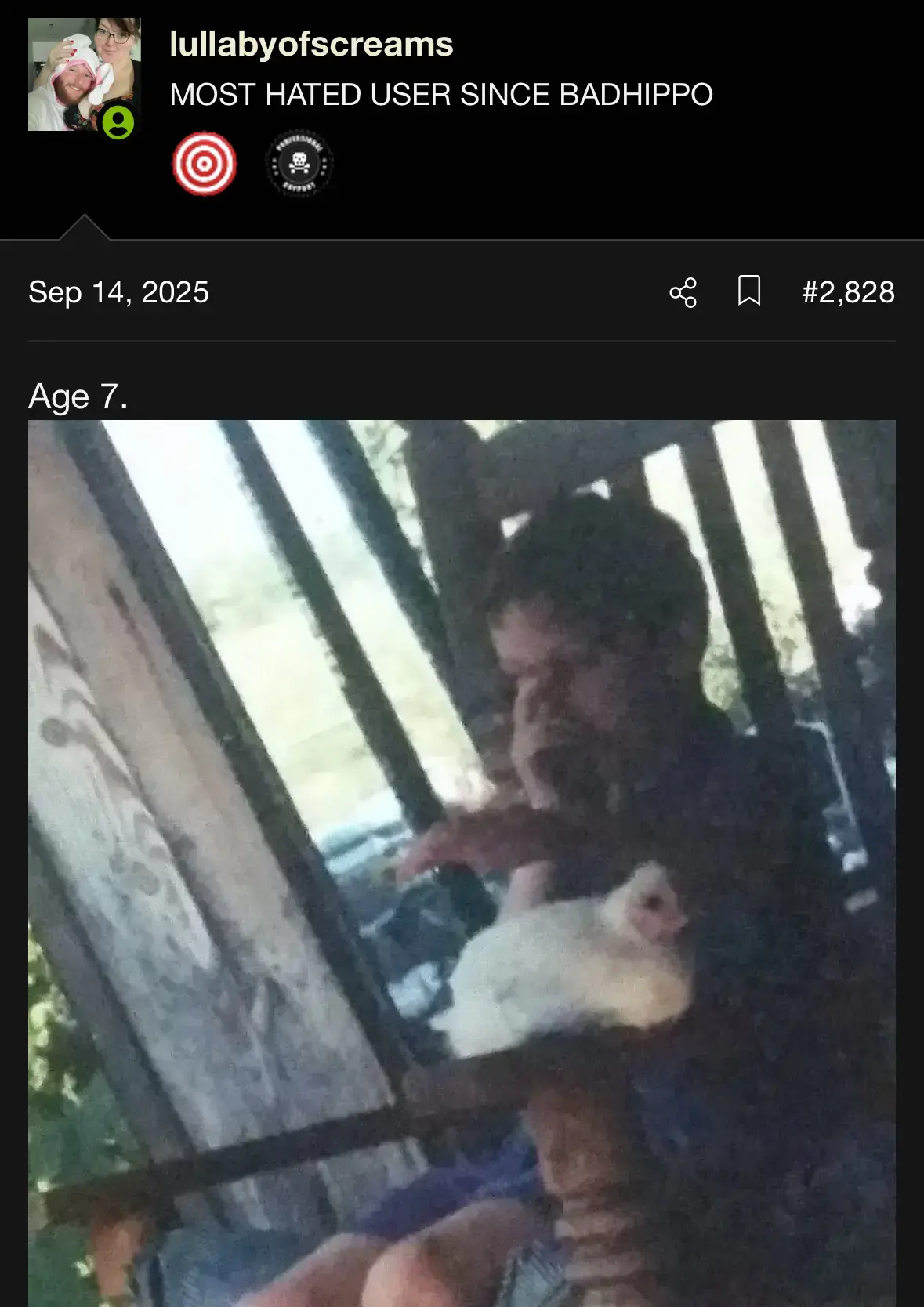 1766618486019.webp