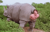 1766850494750.gif
