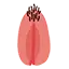 1771737078040.webp