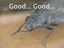 1771786299223.gif