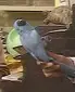 1771864787929.webp