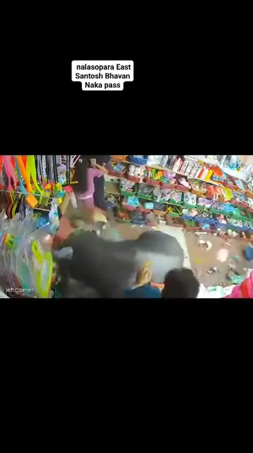 1773168025402.webp