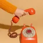 1773711604949.webp