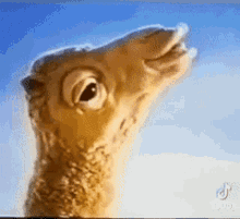 1773848301268.gif