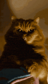 1775007884135.gif