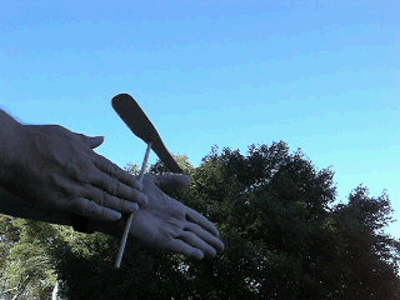 1775264588803.gif