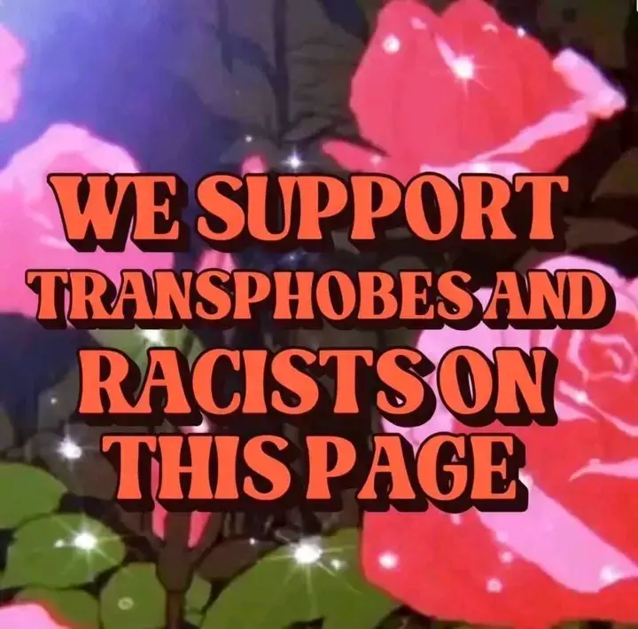 1778161571988.webp