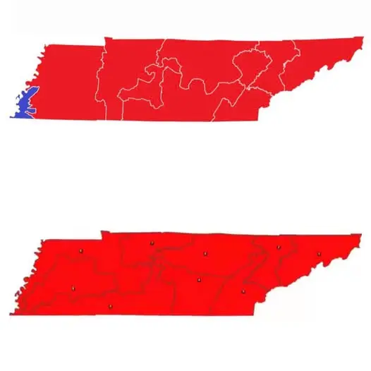 1778196917713.webp