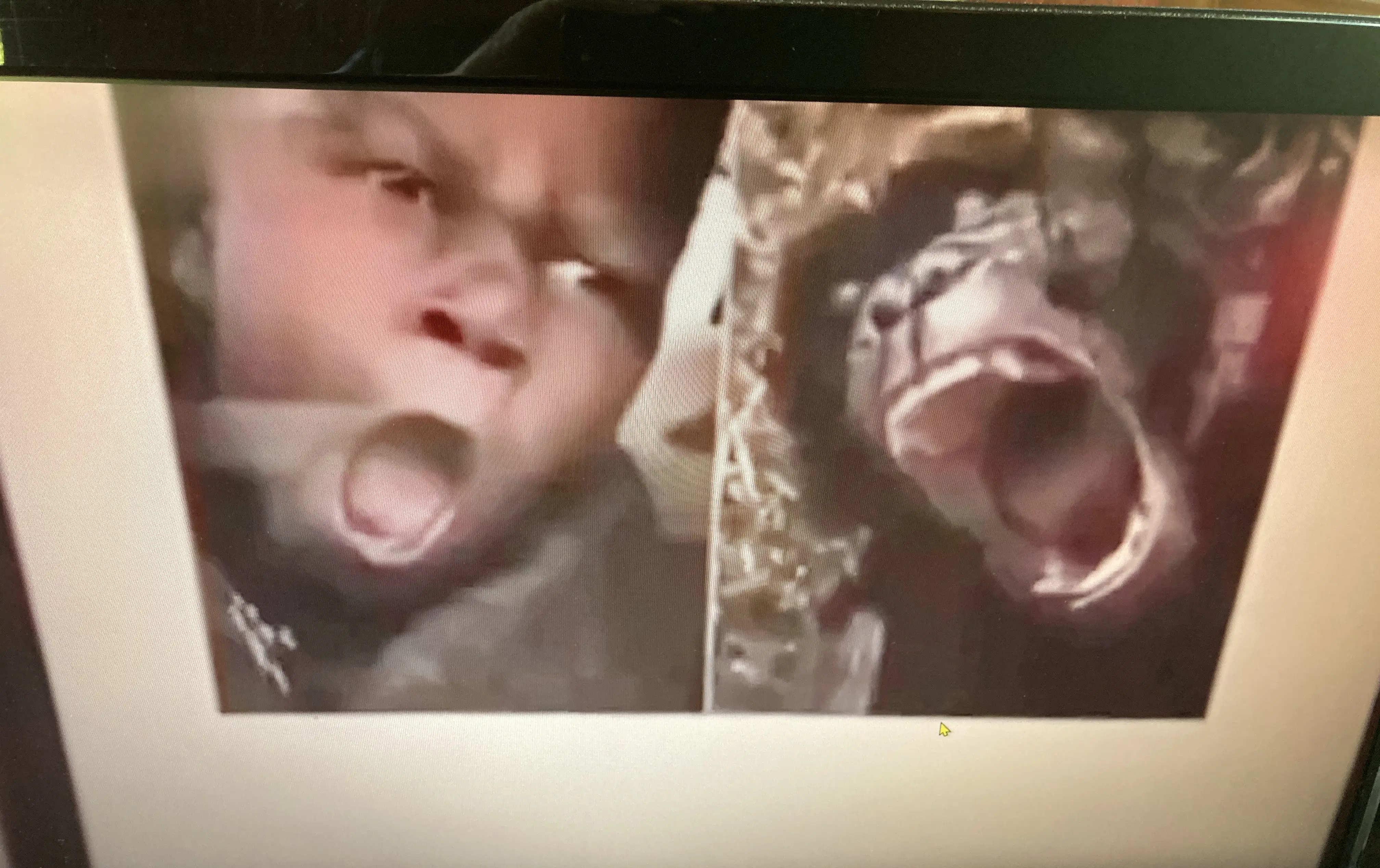 1778249822128.webp