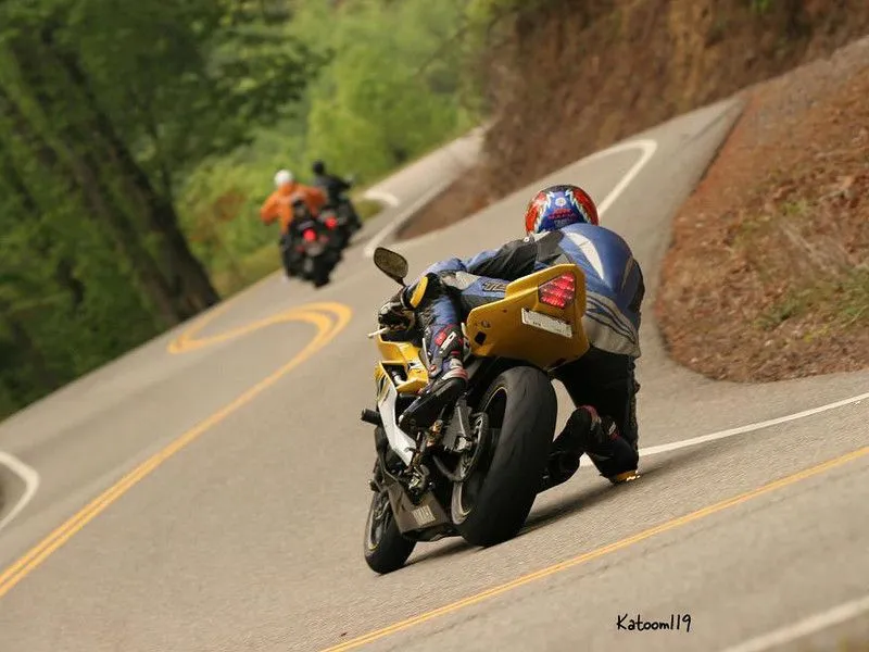 195677266_GtT2P-L.webp
