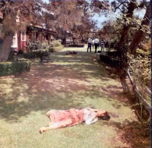 1970.webp