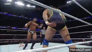 1b46Sf.gif