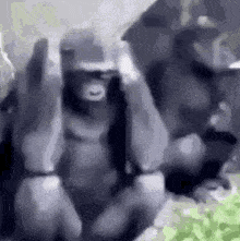 1EC8F2BC-A7CA-4D59-8D88-8D3808BF7F85.gif