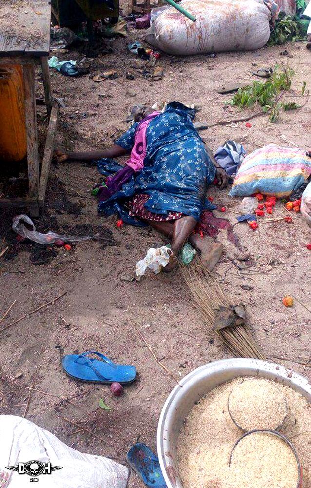 2-female-boko-haram-suicide-bombers-hit-busy-market-3-Madagali-NI-dec-10-16.jpg