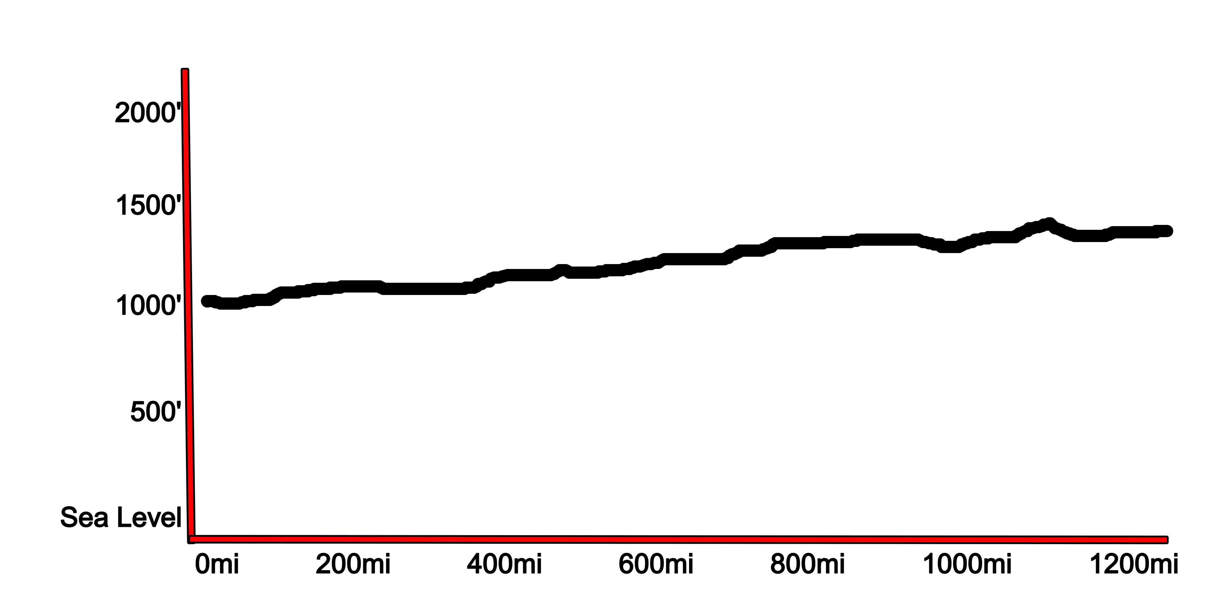 2.webp