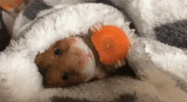 200-3.gif