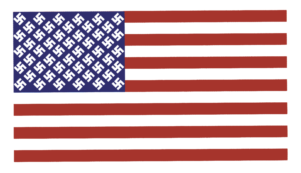 20080807-US-Flag-White-Swastika1.gif
