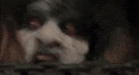 200w (6).gif