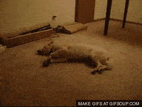 200w (7).gif