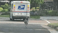 200w.gif