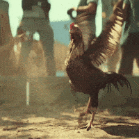 200w.gif