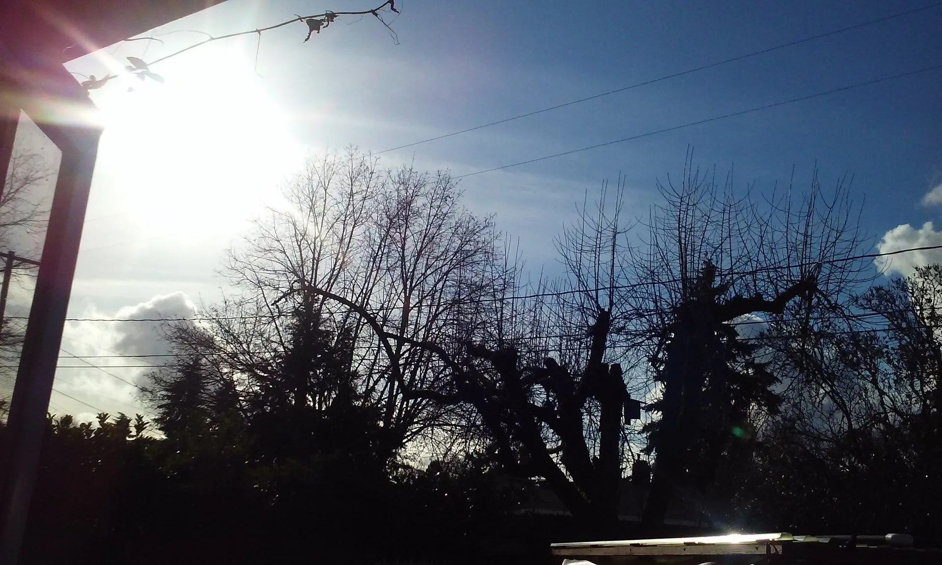 20150202_144348.webp