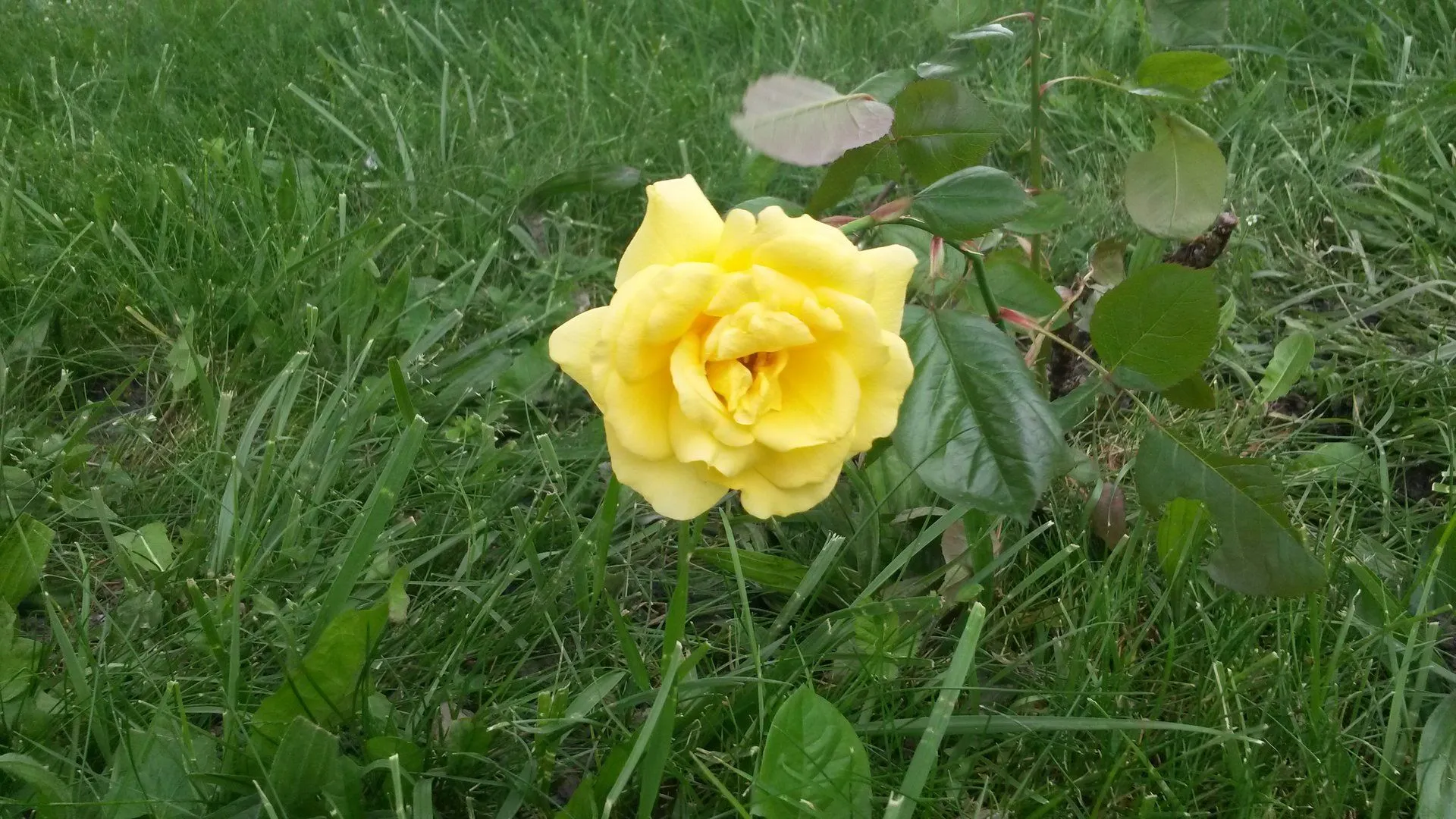 20160525_100845.webp