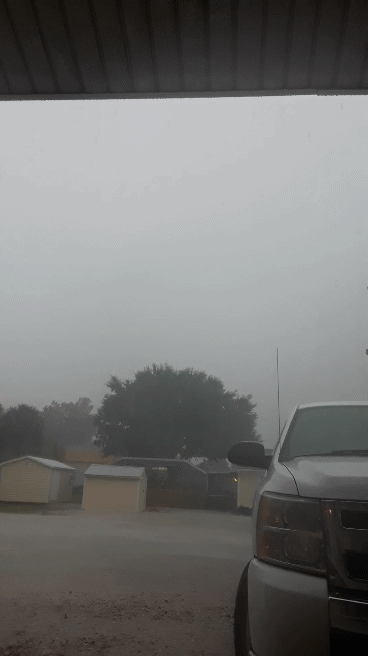 20180825_165433_1.gif