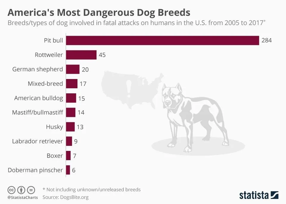 20180914_Deadly_Dogs_Forbes.webp