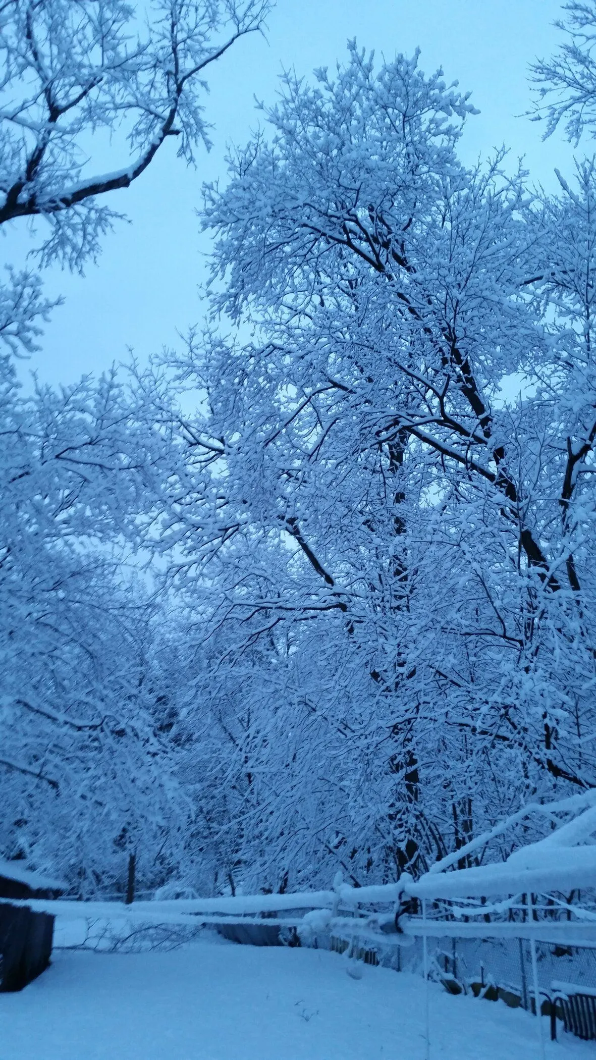 20190304_063235.webp