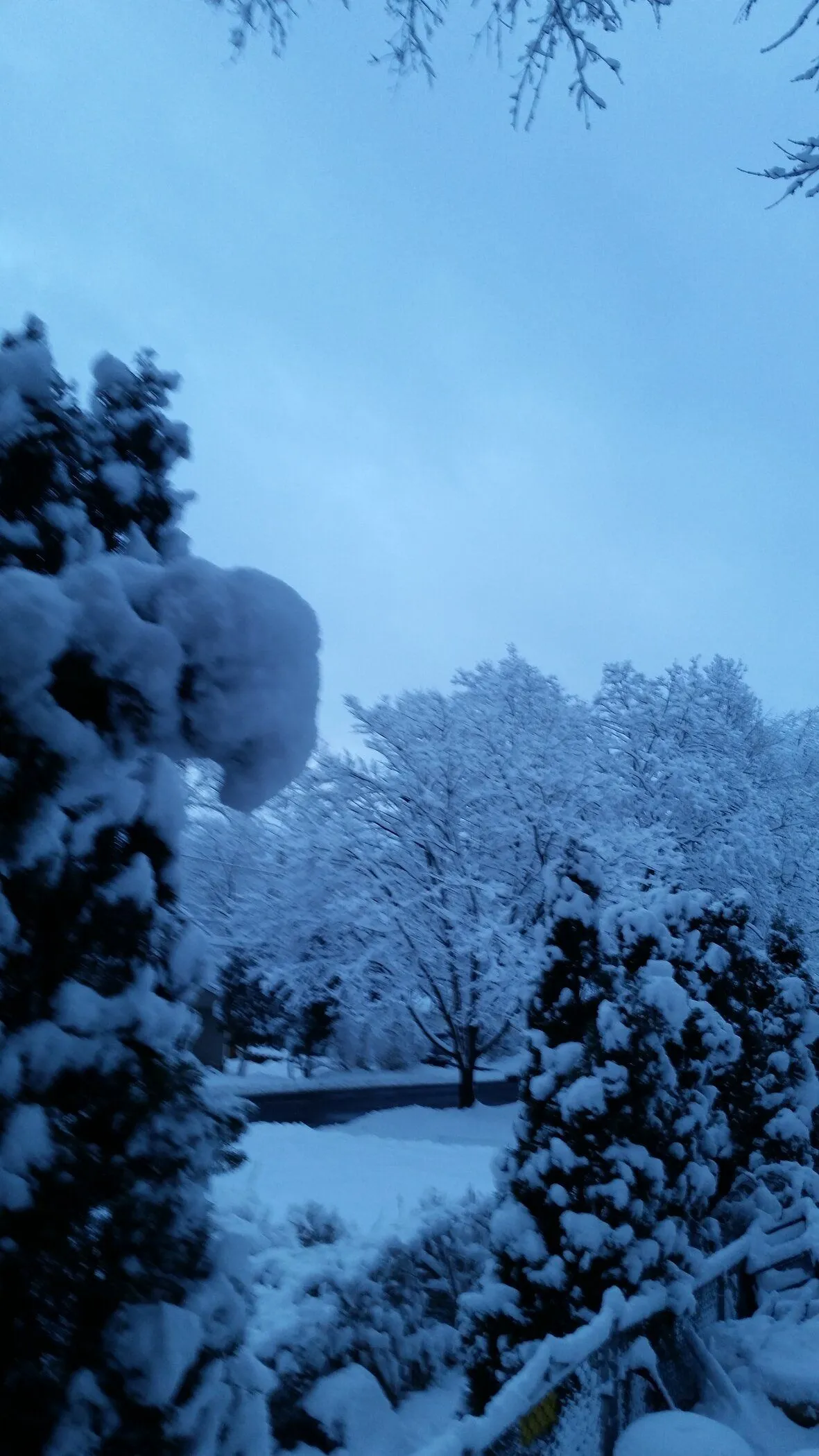 20190304_063316.webp